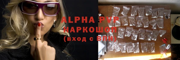 ПСИЛОЦИБИНОВЫЕ ГРИБЫ Горно-Алтайск