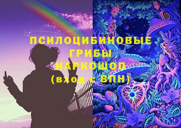 ПСИЛОЦИБИНОВЫЕ ГРИБЫ Горно-Алтайск