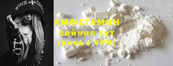 ПСИЛОЦИБИНОВЫЕ ГРИБЫ Горно-Алтайск