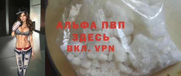 ПСИЛОЦИБИНОВЫЕ ГРИБЫ Горно-Алтайск