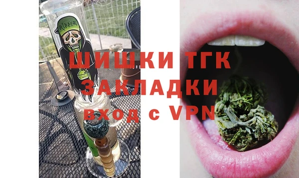соль ск Бердск