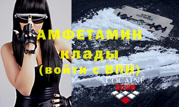 ПСИЛОЦИБИНОВЫЕ ГРИБЫ Горно-Алтайск
