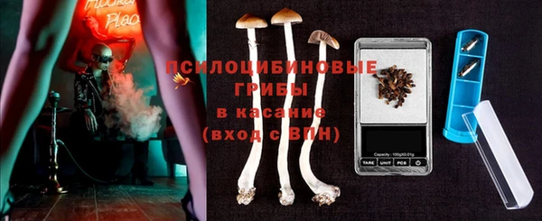 альфа пвп Горняк