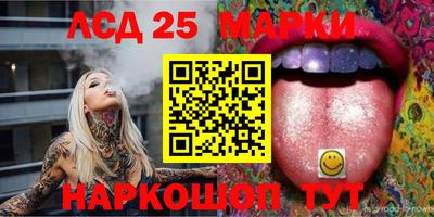 гашик Кулебаки