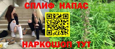 гашик Кулебаки