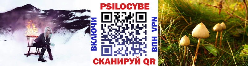 Псилоцибиновые грибы Psilocybe  Железногорск 