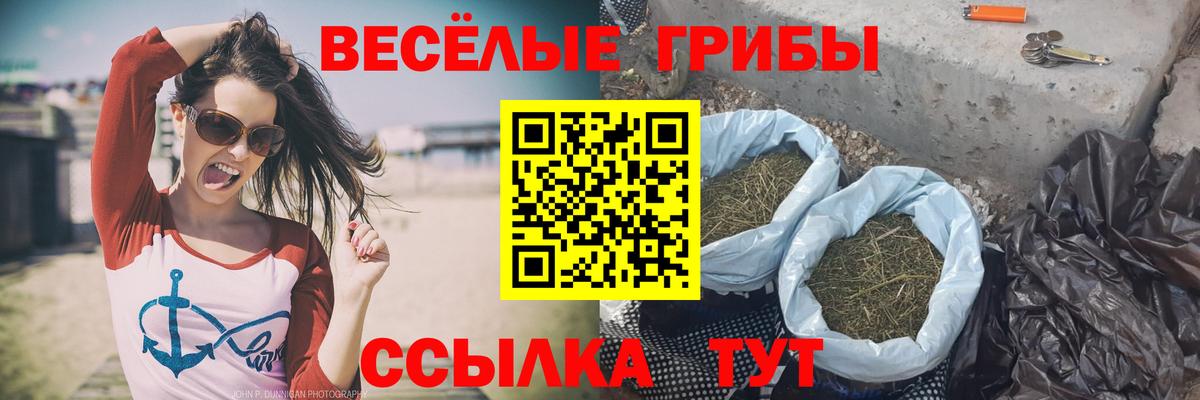 Железногорск  купить наркоту  Псилоцибиновые грибы Psilocybine cubensis  Вход с VPN  Галлюциногенные грибы Psilocybe 